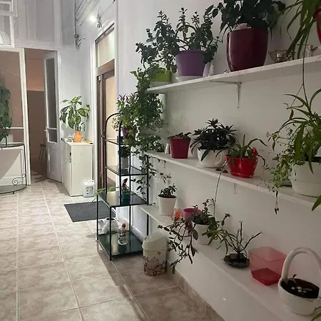 Apartmán Stella Palace 1 Min To Untold Kluž
